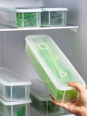 Plastic Food Storage Container with Lid